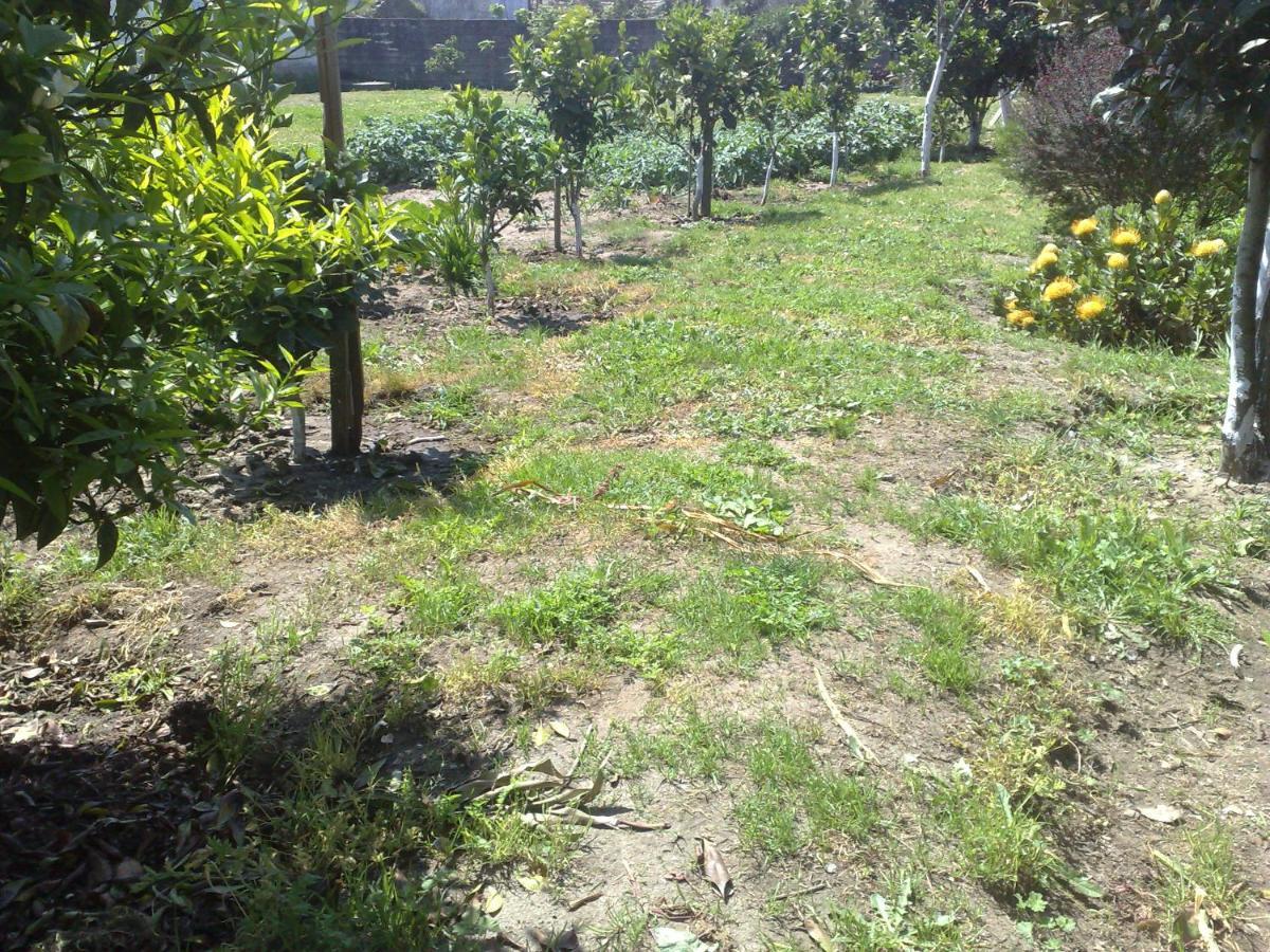 Room Villa Ribeiro Pilgrims Way To Santiago Bike A Garage For Marinhas เอสโปเซนเด ภายนอก รูปภาพ